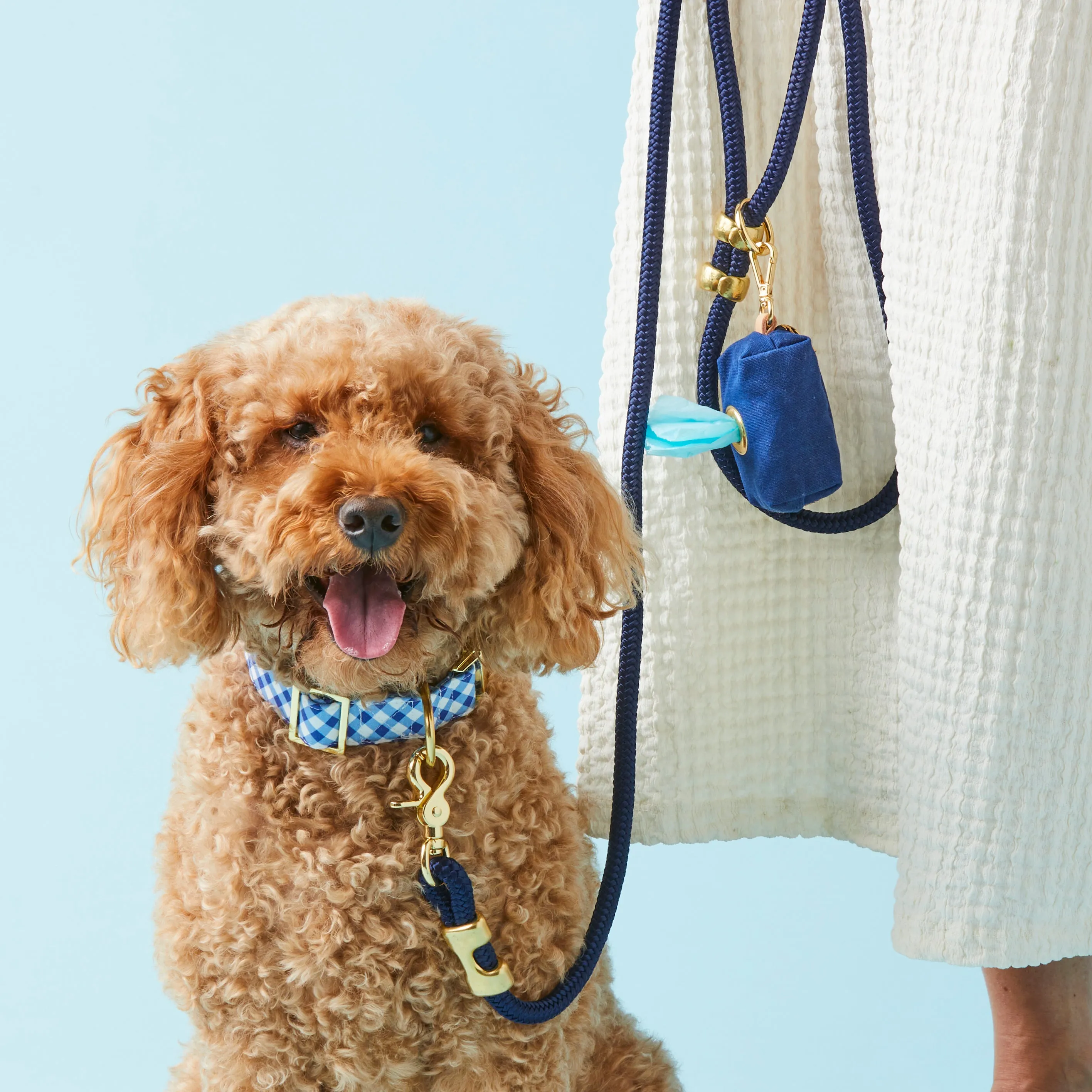 Blue Gingham Collar Walk Set