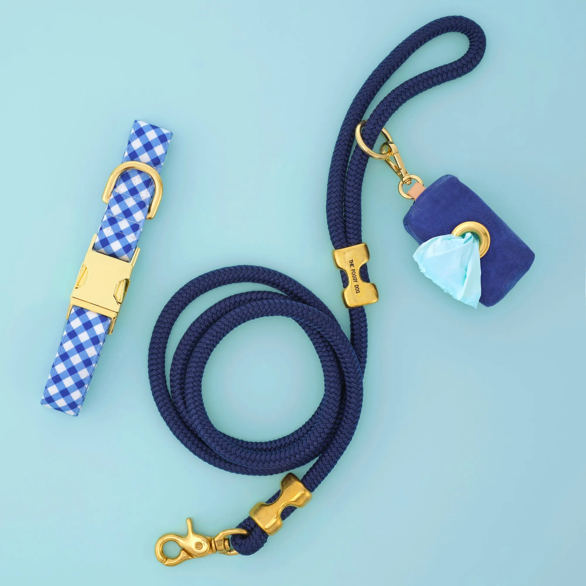 Blue Gingham Collar Walk Set