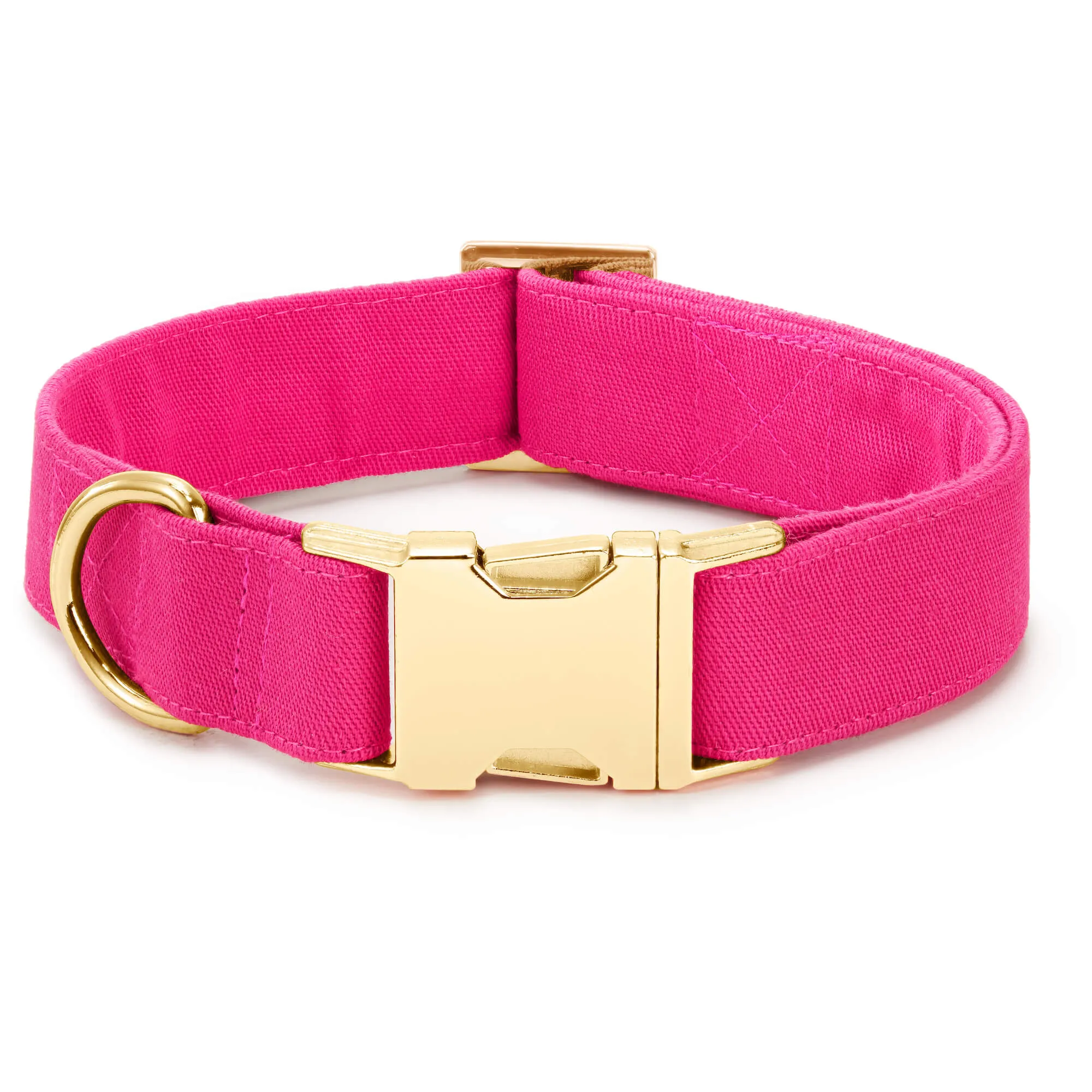 Hot Pink Collar Walk Set