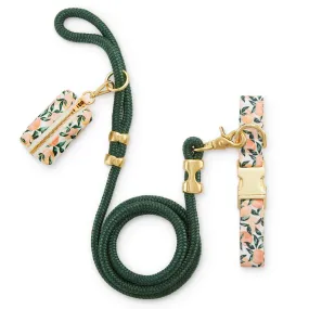 Peaches and Cream Collar Walk Set