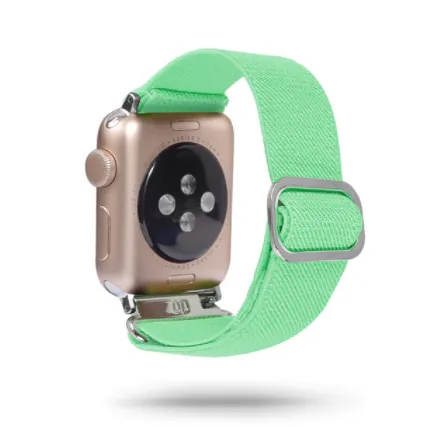 Plain Apple Watch Strap