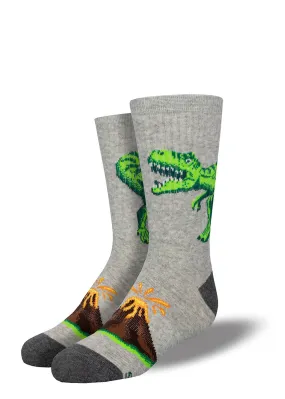 Roaring T-Rex Big Kids' Athletic Socks